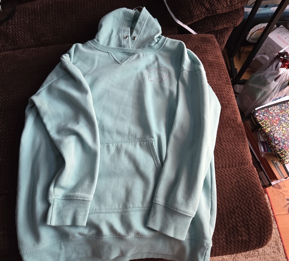 Ivory Ella Light Green Hoodie Sweater